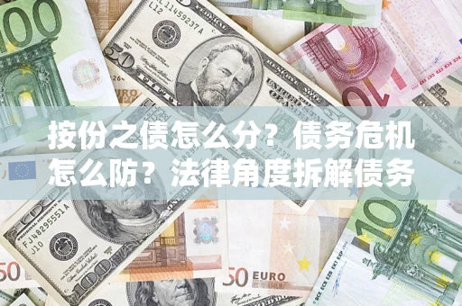 武汉按份之债怎么分？债务危机怎么防？法律角度拆解债务分配与风险自保指南