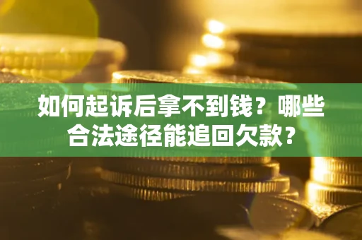 武汉如何起诉后拿不到钱？哪些合法途径能追回欠款？