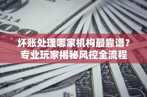 武汉坏账处理哪家机构最靠谱？专业玩家揭秘风控全流程