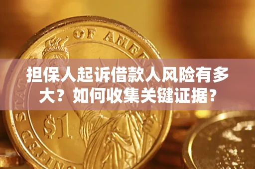 武汉担保人起诉借款人风险有多大？如何收集关键证据？