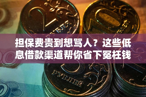 武汉担保费贵到想骂人？这些低息借款渠道帮你省下冤枉钱
