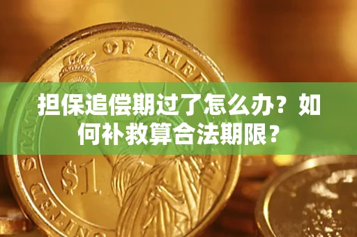 武汉担保追偿期过了怎么办？如何补救算合法期限？