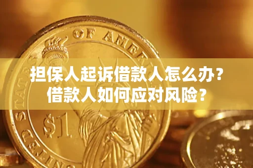 武汉担保人起诉借款人怎么办？借款人如何应对风险？