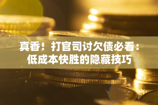 武汉真香！打官司讨欠债必看：低成本快胜的隐藏技巧