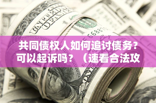 武汉共同债权人如何追讨债务？可以起诉吗？（速看合法攻略）