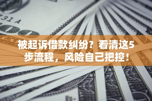 武汉被起诉借款纠纷？看清这5步流程，风险自己把控！