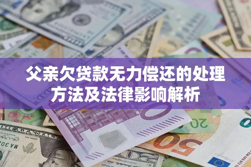 武汉父亲欠贷款无力偿还的处理方法及法律影响解析