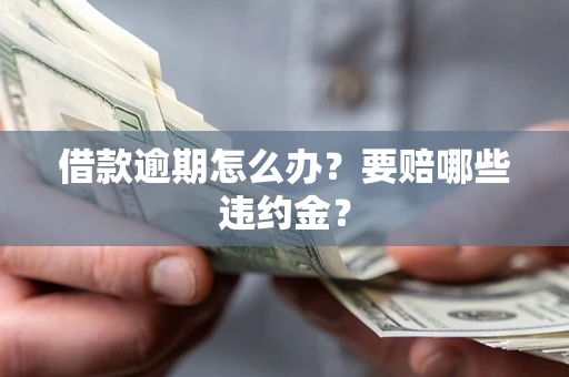 武汉借款逾期怎么办？要赔哪些违约金？