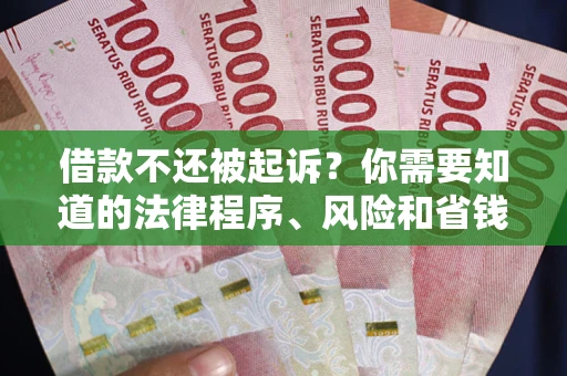 武汉借款不还被起诉？你需要知道的法律程序、风险和省钱技巧