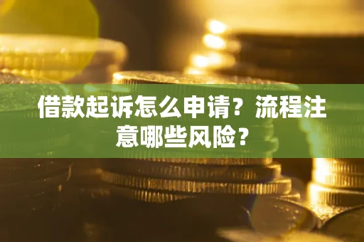 武汉借款起诉怎么申请？流程注意哪些风险？