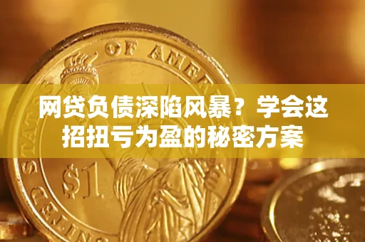 武汉网贷负债深陷风暴？学会这招扭亏为盈的秘密方案